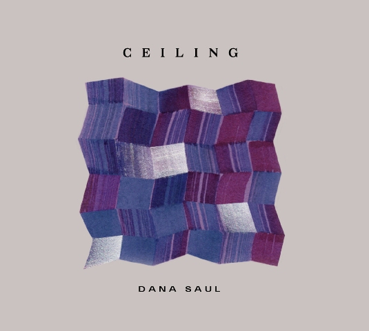 Ceiling - Dana Saul (Cover)